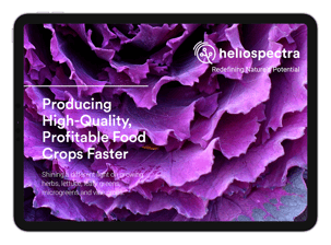 Food_eBook_Ipad_Landscape