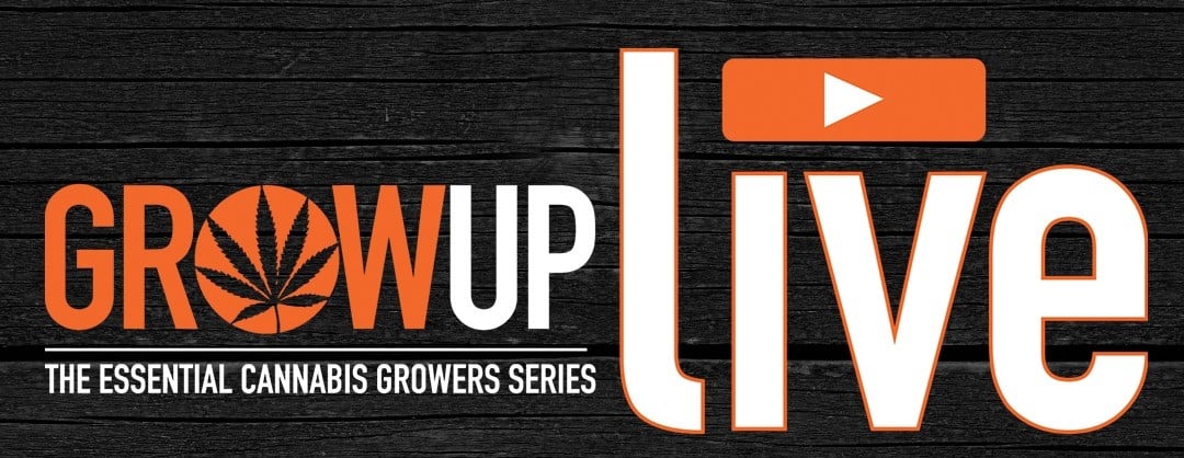 Grow Up Webinar banner