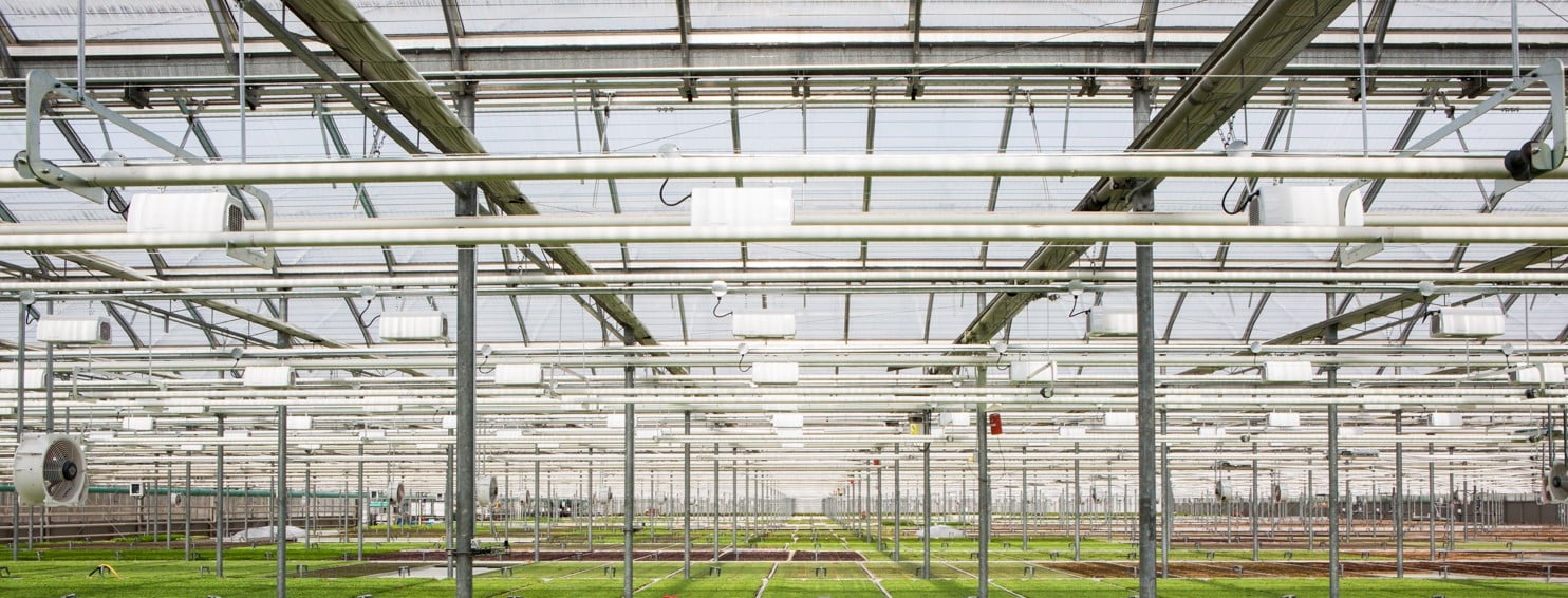 Heliospectra_Greenhouse Vegetable Production Heliospectra_Greenhouse Vegetable Production