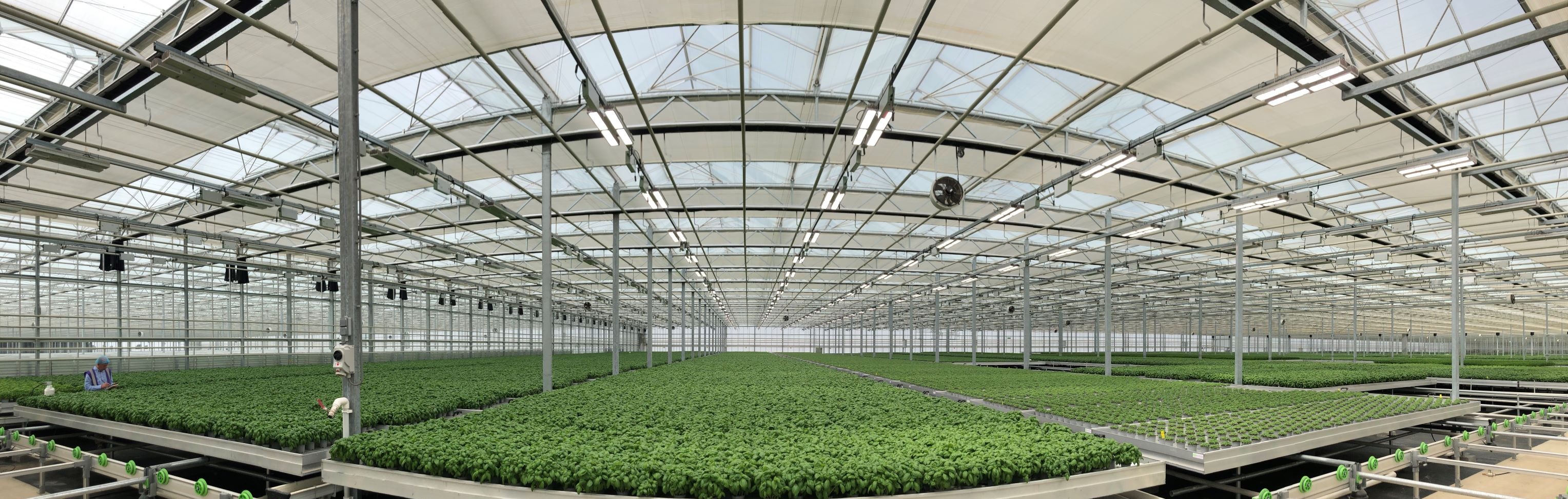 Heliospectra_Bridge Farm Group_GH MITRA